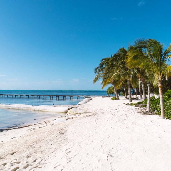 Meals at Isla Mujeres 