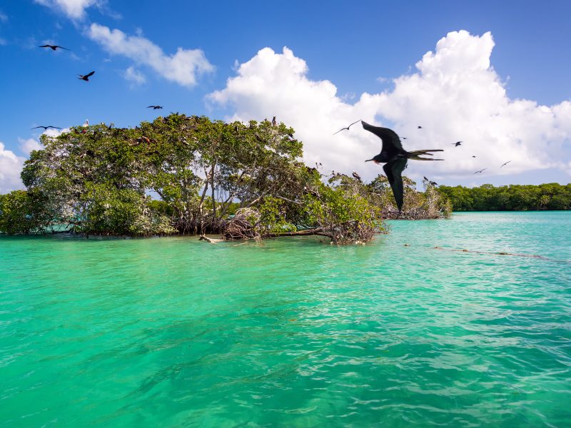 Access to the Sian Ka’an Biosphere